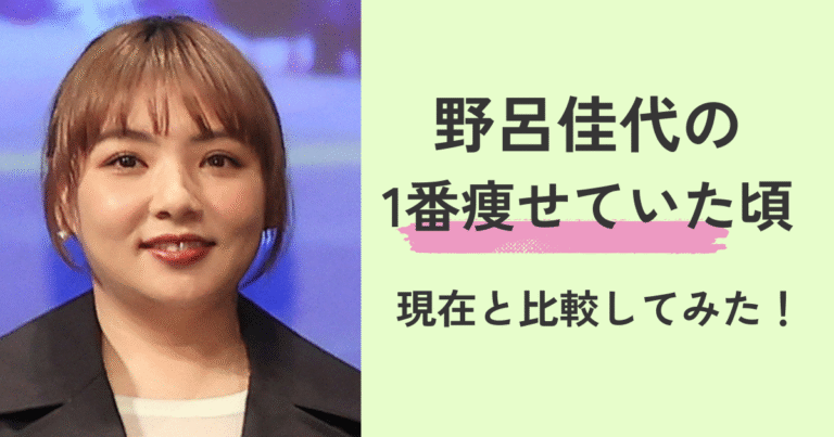 【衝撃画像】野呂佳代の1番痩せていた頃がやばい！？AKB時代は現在より20キロ痩せていた？！